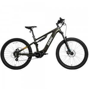 Mustang Premium Electric Mountain Bike1