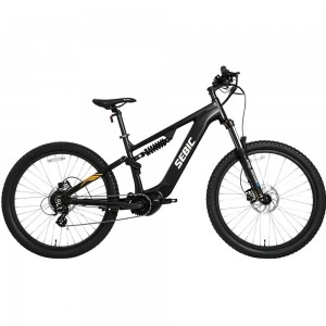 Mustang Premium Electric Mountain Bike2