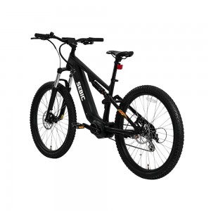 Mustang Premium Electric Mountain Bike3